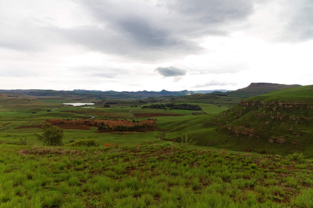 06 - Addo Elephant NP (31).jpg